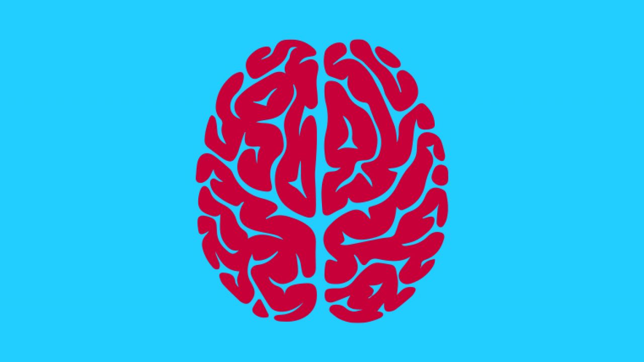 Neurodydaktyka a klasowa praktyka na lekcji języka obcego
