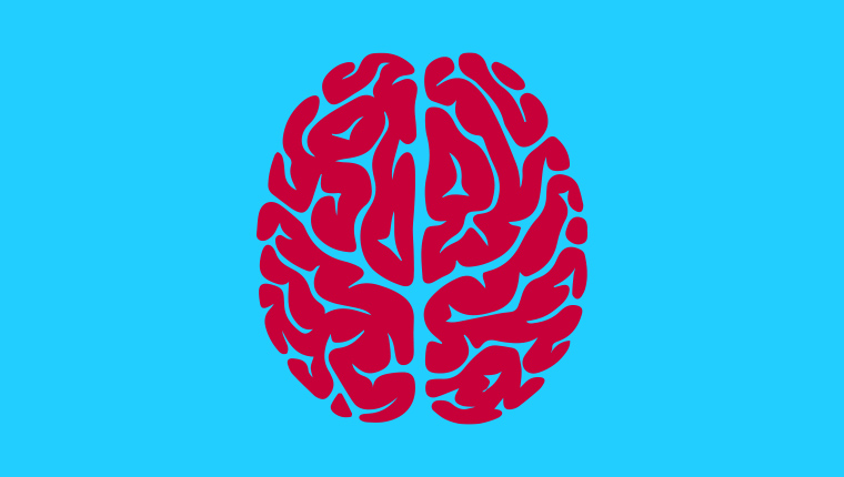 Neurodydaktyka a klasowa praktyka na lekcji języka obcego